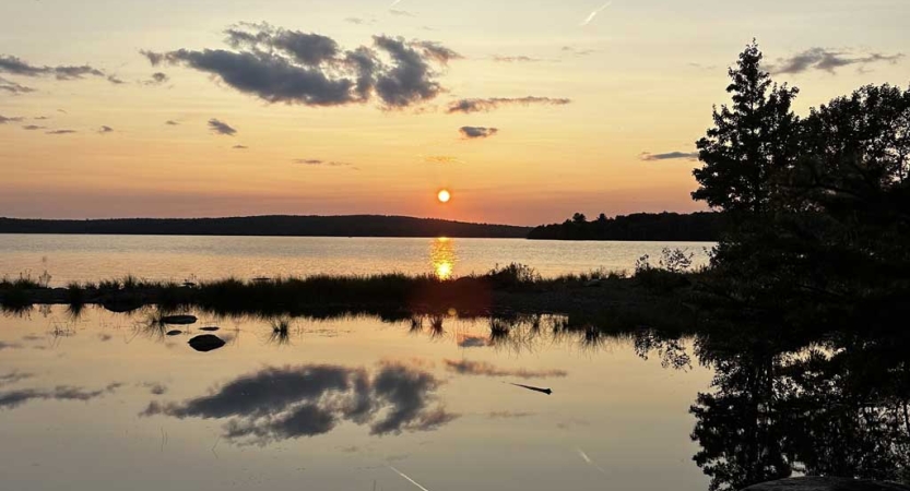 The sky appears in gentle colors above trees and a body of water. 